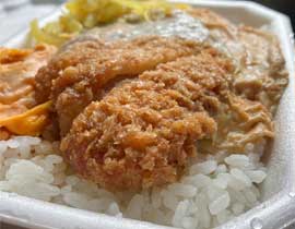 Katsudon