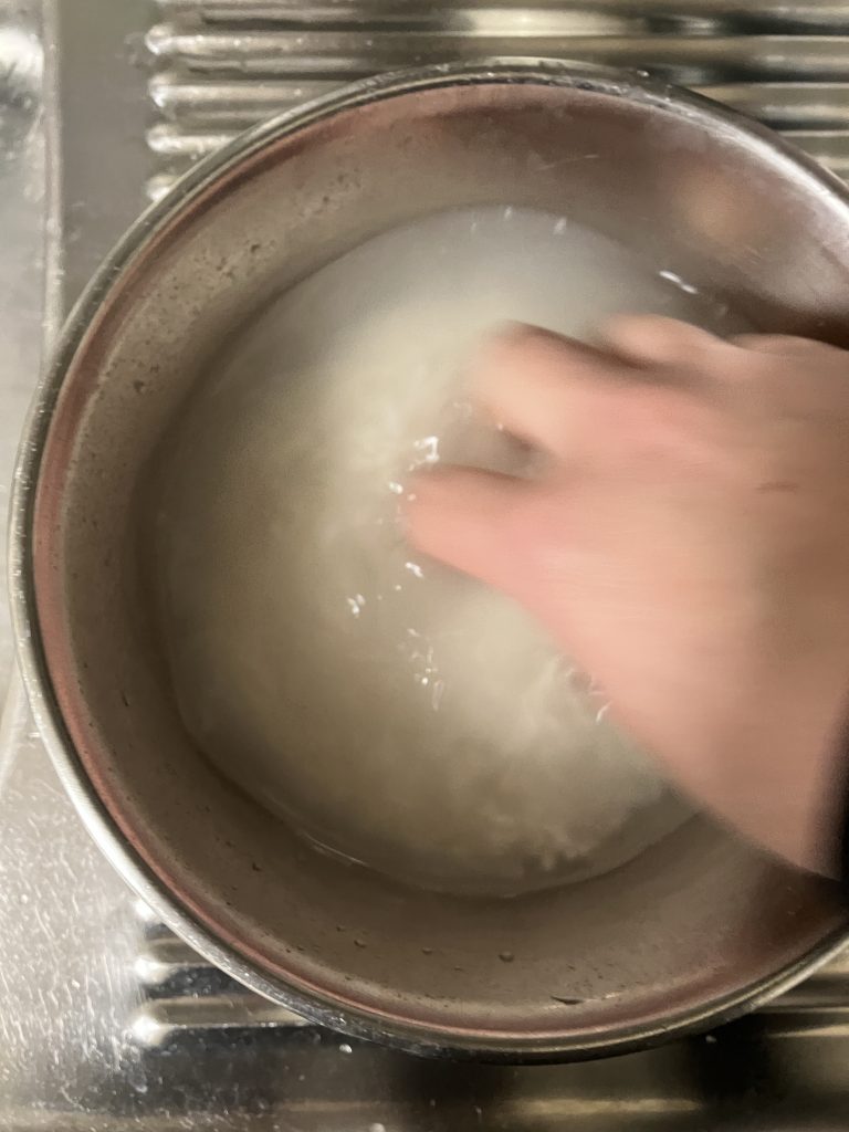 Homemade Ohagi - Japanese sweet rice ball with anko"
