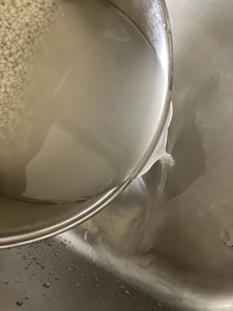 Homemade Ohagi - Japanese sweet rice ball with anko"