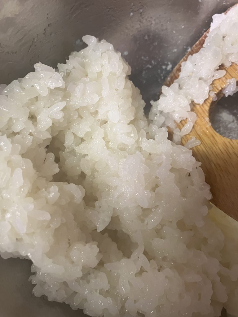 Homemade Ohagi - Japanese sweet rice ball with anko"